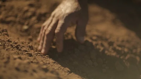 Bright Melon Seed in Ground on Large Farm Stock Footage 94688611