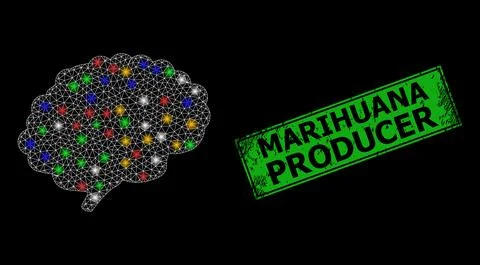 Bright mesh network brain organ with colorful bright dots, and grunge Marihua Stock Illustration