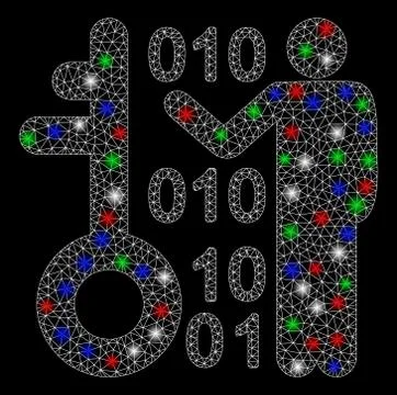 Bright Mesh Wire Frame Decode Key with Light Spots 스톡 일러스트