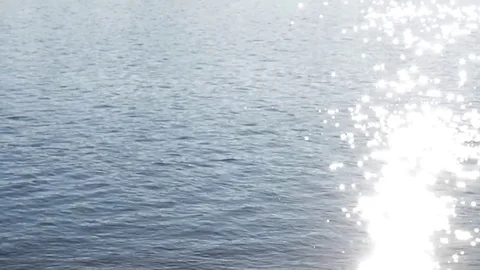 Bright midday light of the sun are shimmering beautifully Video stock 80411135