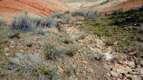 Bright midday painted hills Spring Sutton Mountain John Day Great Basin High Stock Footage 81601683