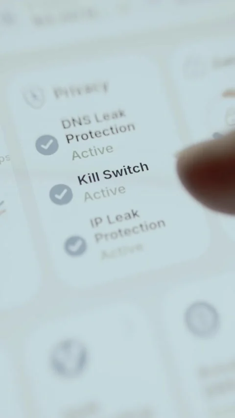 Bright mobile list with DNS leak protection Stock Footage 342491246