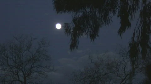 Bright moon 3 - fast time lapse Stock Footage
