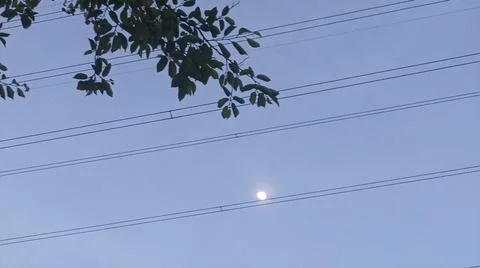 Bright Moon and Parallel Power Lines Framed by Tree Leaves Stock Photos