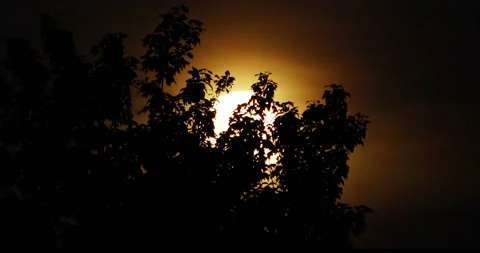 Bright moon behind silhouetted tree branches in a hazy sky Stock Footage 154744035