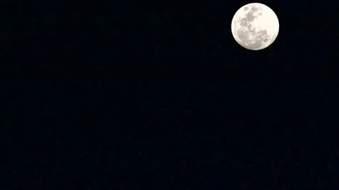 Bright moon in black sky Stock Footage 79116483