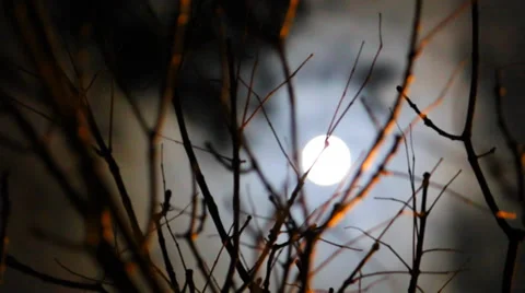 Bright moon with clouds and bushes Stock Footage 38283988