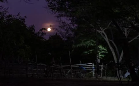 Bright moon in the dark Фото