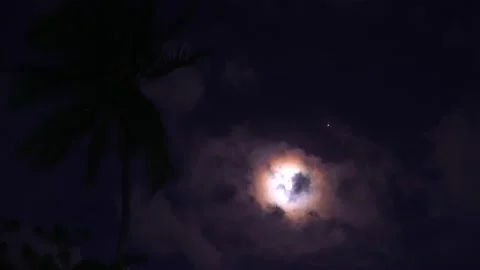 A bright moon hides behind lush clouds. Night sky with palm tree Vídeo Stock 159867451
