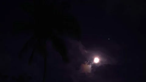 A bright moon hides behind lush clouds. Night sky with palm tree Vídeo Stock 159868094