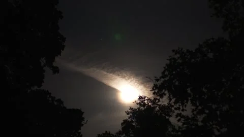 Bright moon illuminating clouds above dark night forest Vídeo Stock 340397332