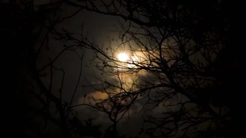 Bright moon at night with sound of waves by the sea. 스톡 동영상 227869476