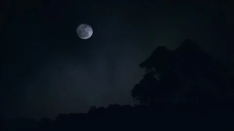 A bright moon in the sky at night Stock Footage 252483802
