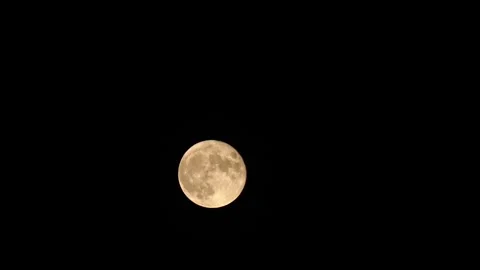Bright moon is in the sky time lapse Stock Footage 331257767