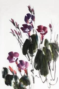 Bright morning glory Stock Illustration