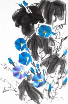 Bright morning glory Stock Illustration