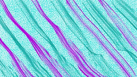 Bright moving background, beautiful animation for design Stock Footage 337537598