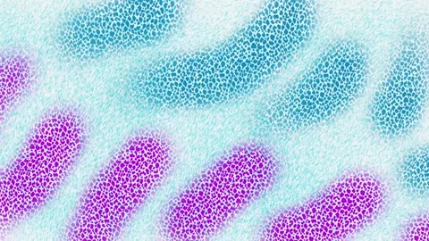 Bright moving background, beautiful animation for design Stock Footage 337537863