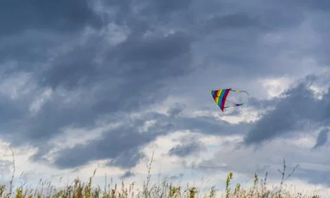 Bright multi-colored kite in free flight above the ground Stock-Fotos