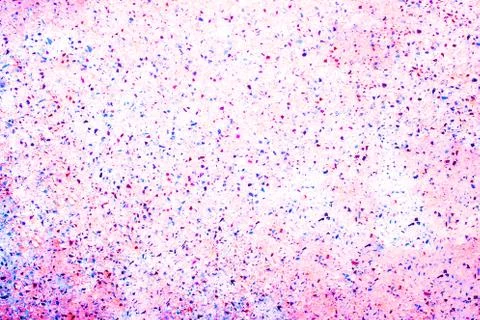 Bright multi-colored pink with blue pebbles background for text Foto stock