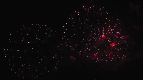 Bright multi-colored sparks in the form of firework flowers on a black night sky Stock Footage 244545152