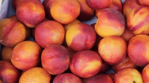 Bright nectarines in the market Stock Footage 126721198