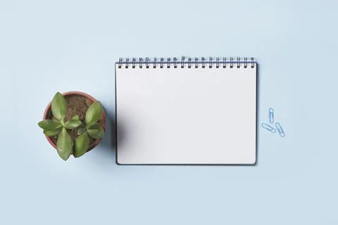 Bright office workspace Stock Photos