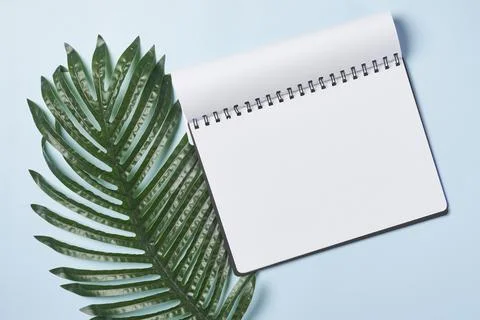 Bright office workspace Stock Photos