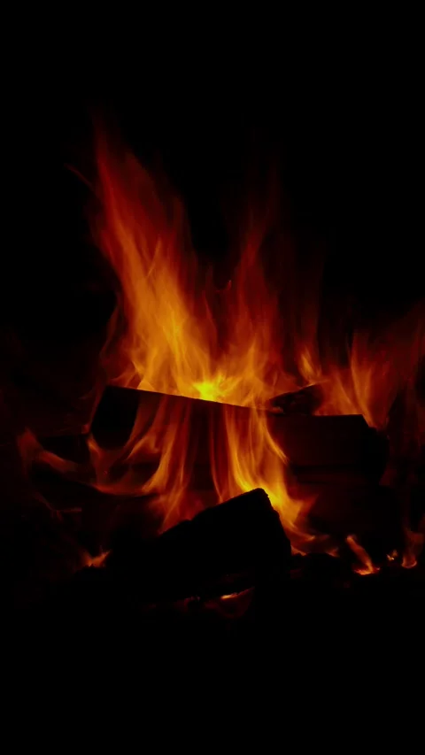 Bright orange campfire flames burning wooden logs in pitch darkness Stock Footage 337388805