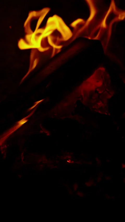 Bright orange campfire flames burning wooden logs in pitch darkness Stock Footage 337388877