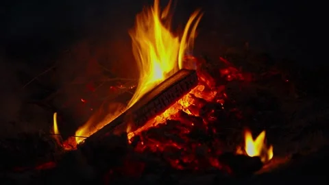 Bright orange campfire flames burning wooden logs in pitch darkness Stock Footage 337388897