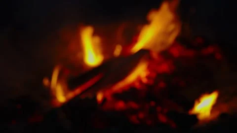 Bright orange campfire flames burning wooden logs in pitch darkness Stock Footage 337388898