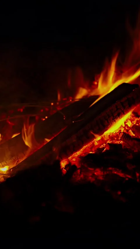 Bright orange campfire flames burning wooden logs in pitch darkness Stock Footage 337388899