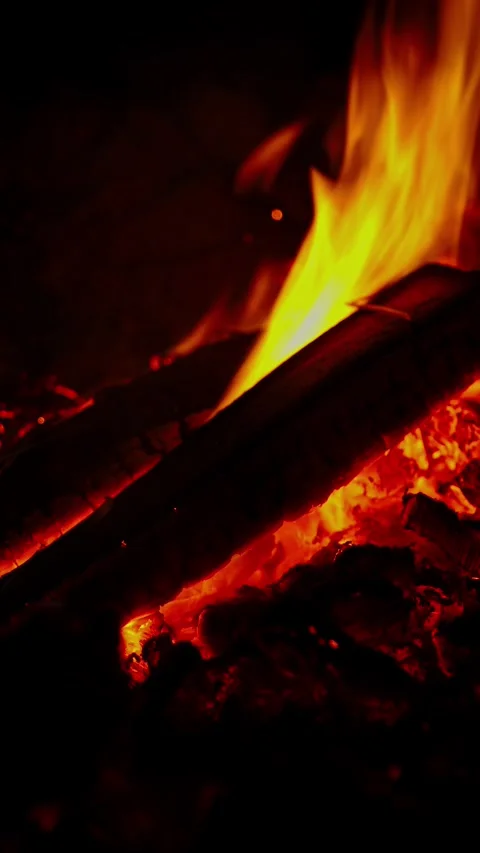 Bright orange campfire flames burning wooden logs in pitch darkness Stock Footage 337388909