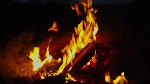 Bright orange campfire flames burning wooden logs in pitch darkness Stock Footage 337388946