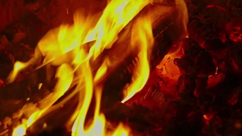 Bright orange campfire flames burning wooden logs in pitch darkness Stock Footage 337388953