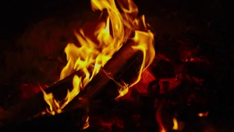 Bright orange campfire flames burning wooden logs in pitch darkness Stock Footage 337388994
