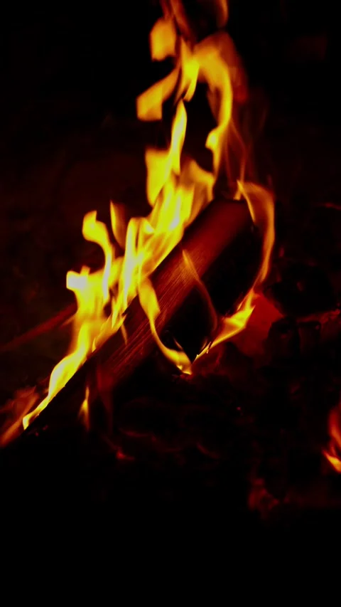 Bright orange campfire flames burning wooden logs in pitch darkness Stock Footage 337389034