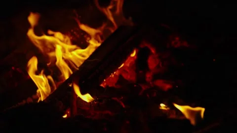 Bright orange campfire flames burning wooden logs in pitch darkness Stock Footage 337389084