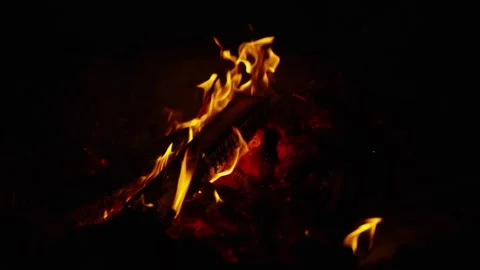 Bright orange campfire flames burning wooden logs in pitch darkness Stock Footage 337389085