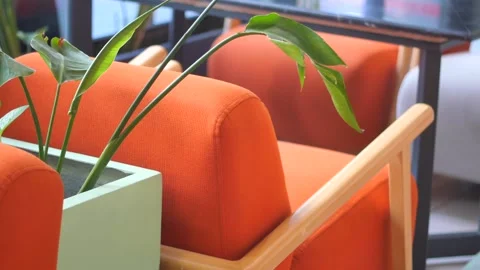 Bright orange chairs in cafe setting with plant motion in foreground footage. Video stock 332909153