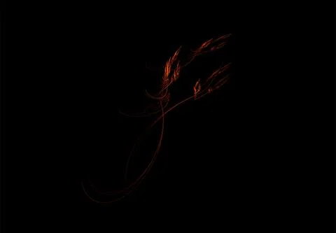 Bright orange drawing on a black background, flower Stock Illustration