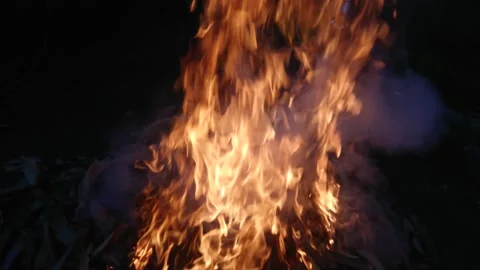 Bright orange flames burning dry autumn leaves in the dark. Stock Footage 336599041
