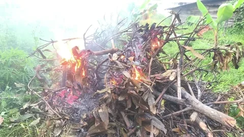 Bright orange flames Stock Footage 337527122