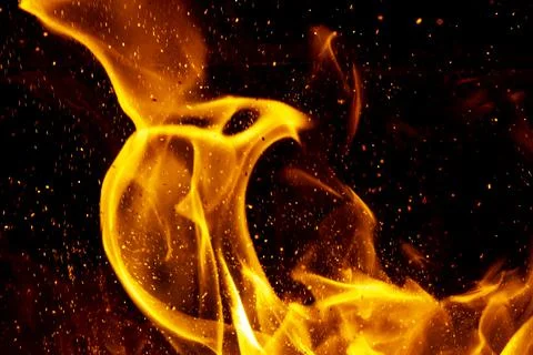 Bright orange flames om shape of cobra isolated on black background Stock Photos