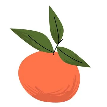 Bright orange fruit with three vivid green leaves in a hand drawn flat style Stock Illustration