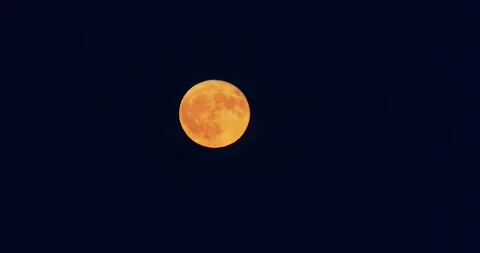 Bright orange full moon in the night sky, Strawberry Moon Video stock 311973809