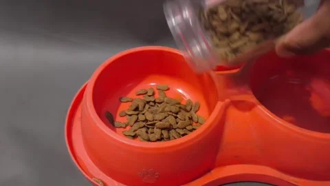 Bright orange pet feeder holds two bowls Stock-Footage 344830007