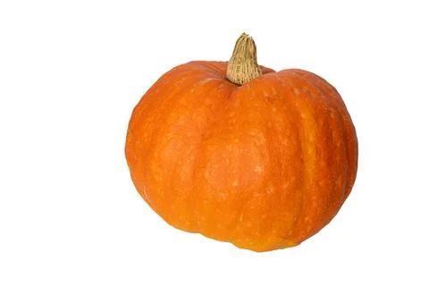 Bright orange pumpkin against a plain background Stock Photos