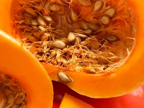 Bright orange pumpkin Stock Photos